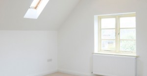 Background image. A new extension needing SAP rating
